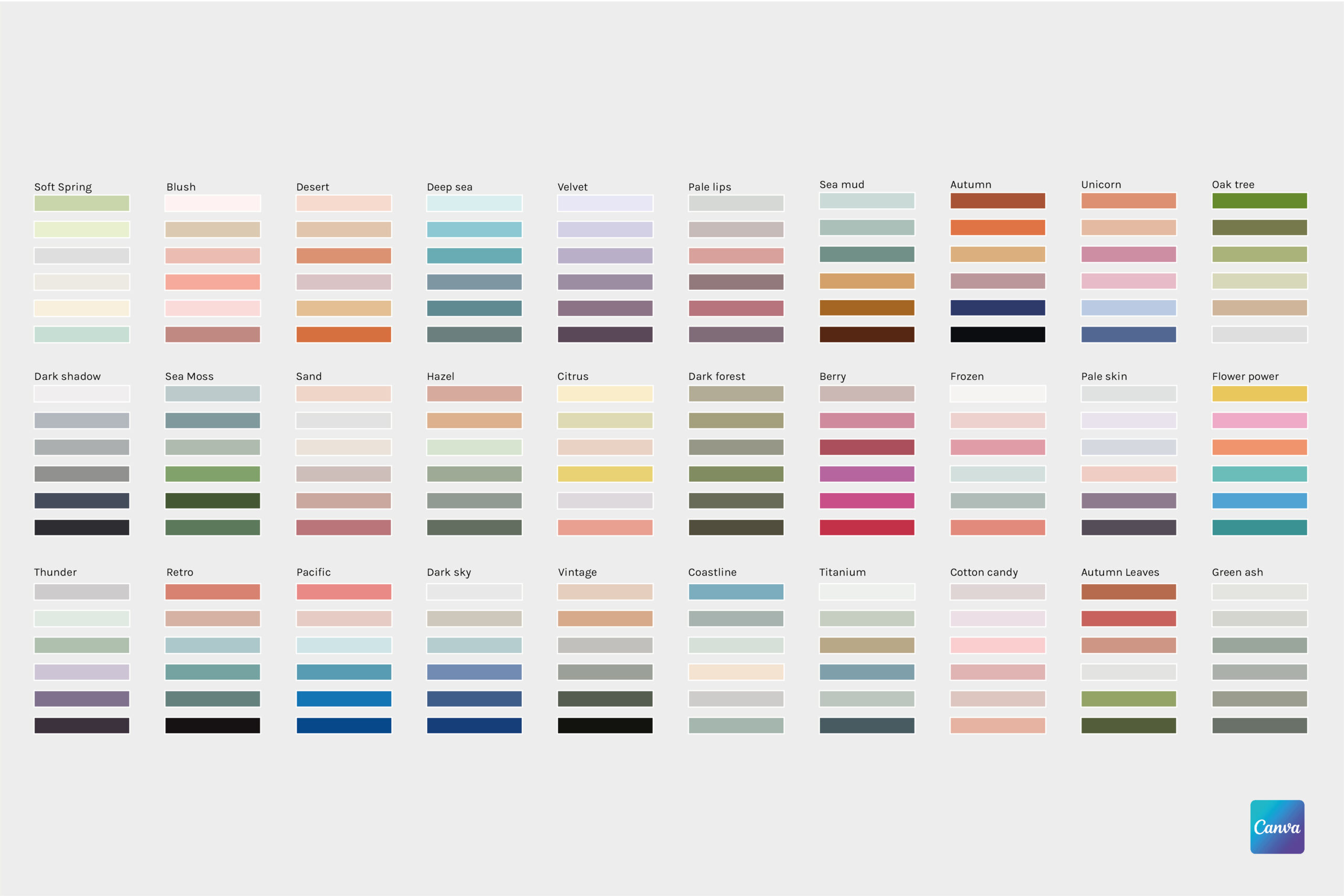 Canva Color Palettes – Freebie